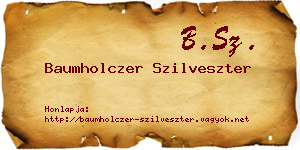 Baumholczer Szilveszter névjegykártya